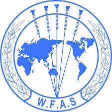 Logo exemple 6 Wfas